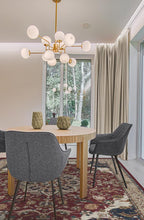 Load image into Gallery viewer, Sima Currant Rug