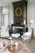 Load image into Gallery viewer, Victoria Taupe Rug