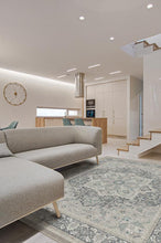 Load image into Gallery viewer, Hendesi Heriz Abalone Rug
