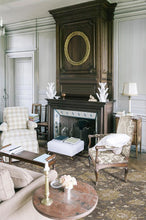 Load image into Gallery viewer, Marie Grey Taupe Rug
