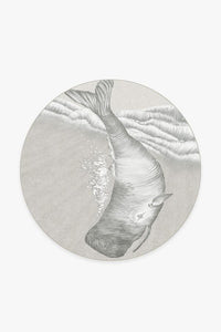 Cetus Charcoal Rug