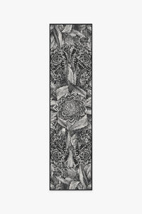 Echeveria Black Rug