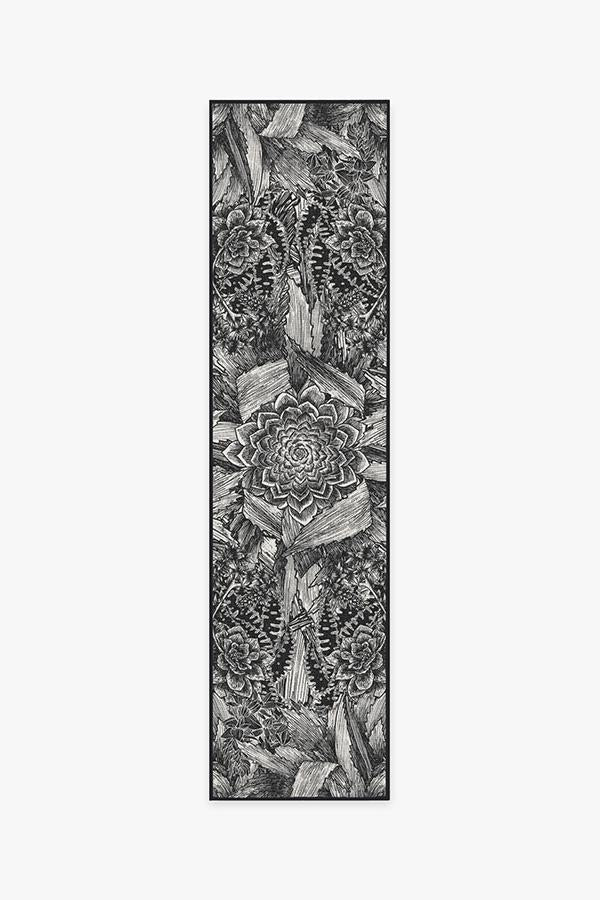 Echeveria Black Rug