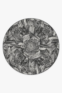 Echeveria Black Rug