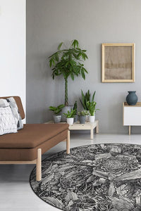 Echeveria Black Rug