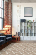 Load image into Gallery viewer, Terali Natural Clay Rug
